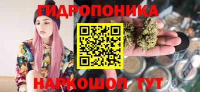гидра Нальчик