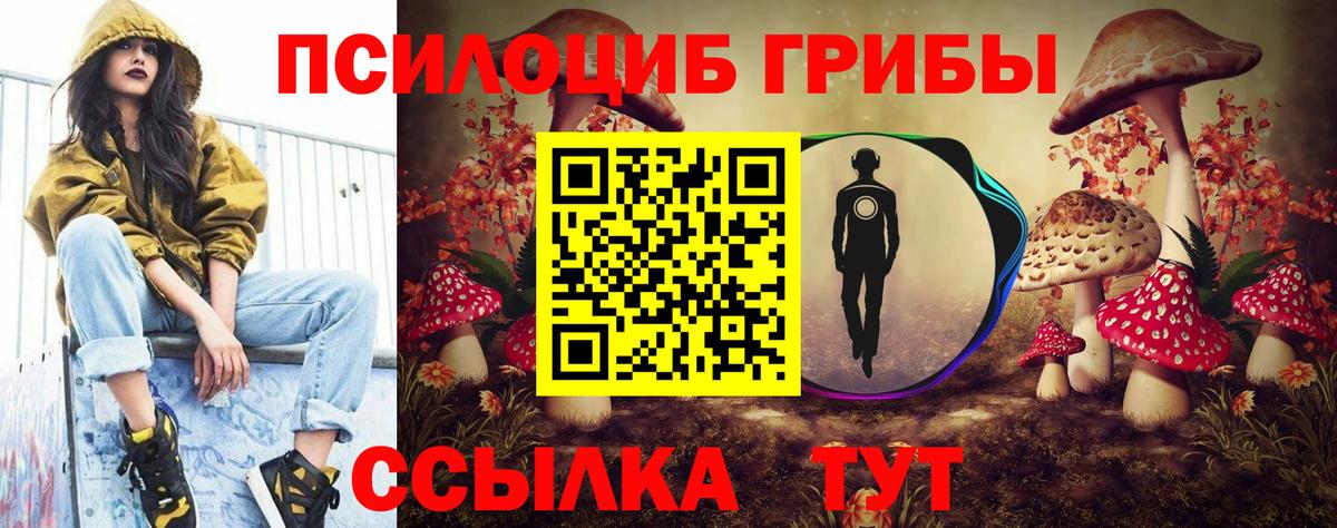 купить наркотик  Псилоцибиновые грибы Cubensis  Вход с VPN  Ржев  Галлюциногенные грибы Psilocybine cubensis 